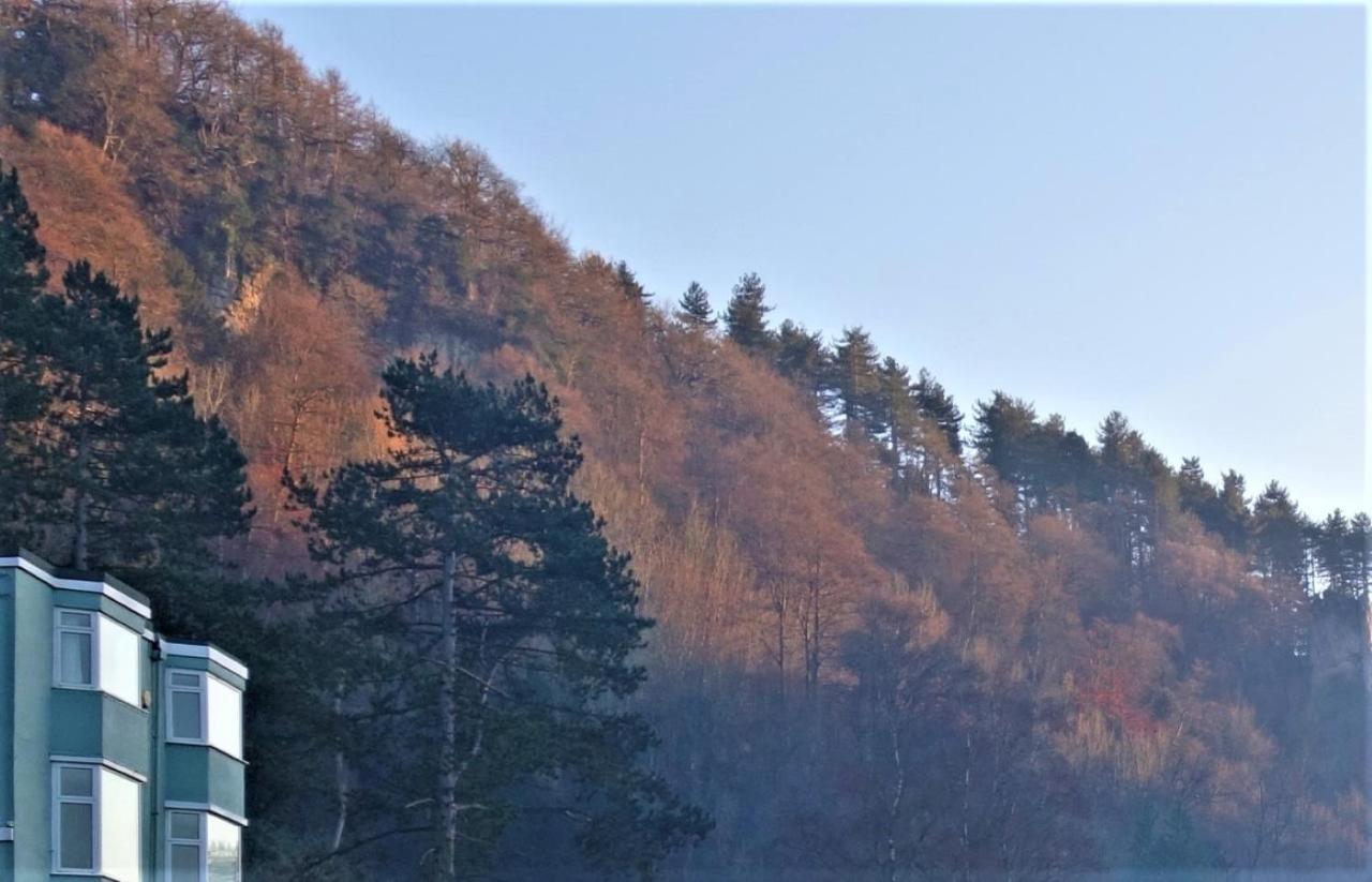 Wye Rapids House Bed & Breakfast Symonds Yat Exterior photo